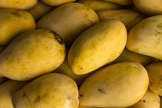 Discover the Sweetness Nearby: Top Mango Farms in Your Area